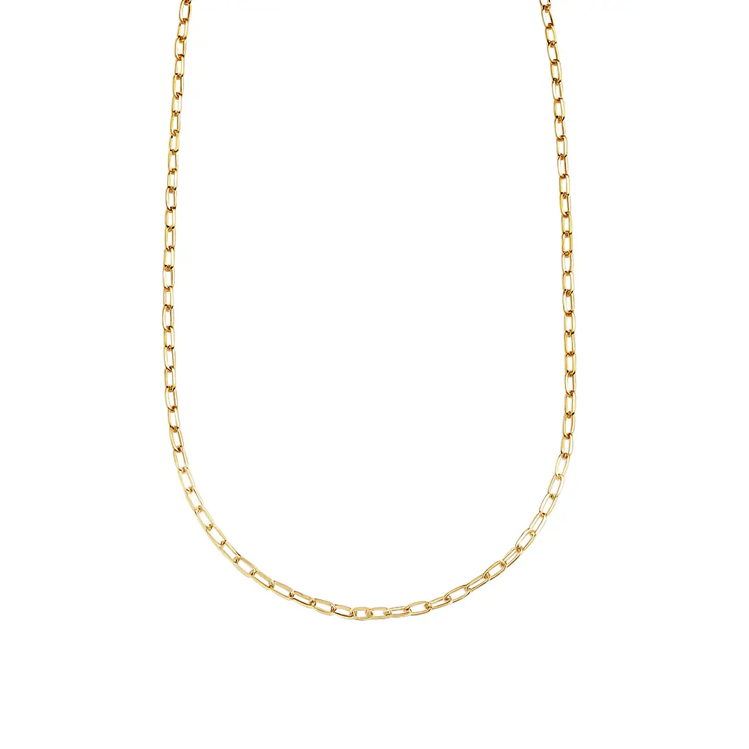 Small Paperclip Chain 1 Small Paperclip Chain