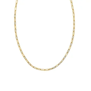 Large Paperclip Chain